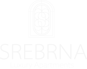 Logo Srebrna bez tła Białe litery