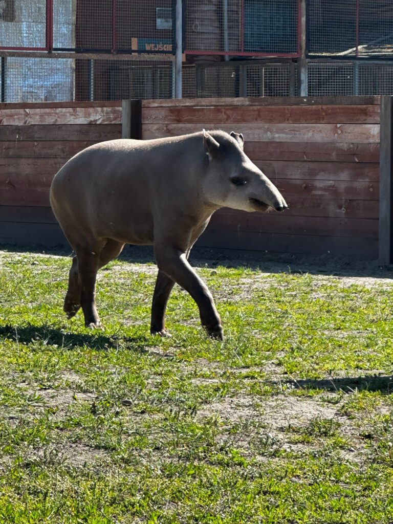 3Zoo Borysew 2024