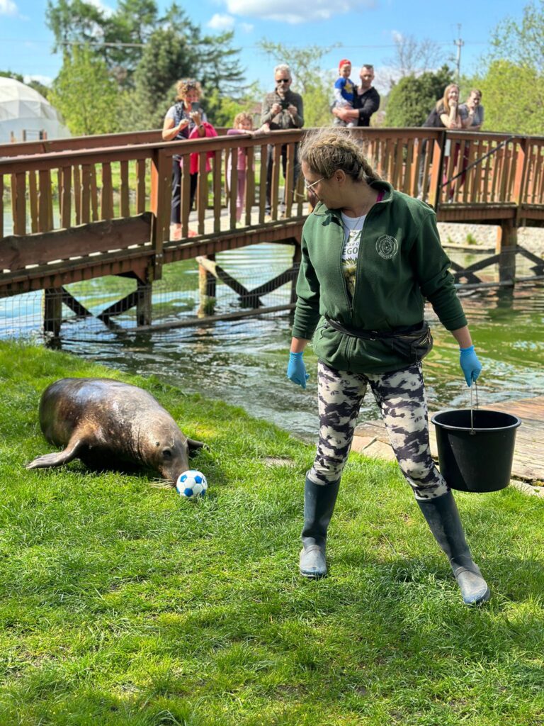 8Zoo Borysew 2024